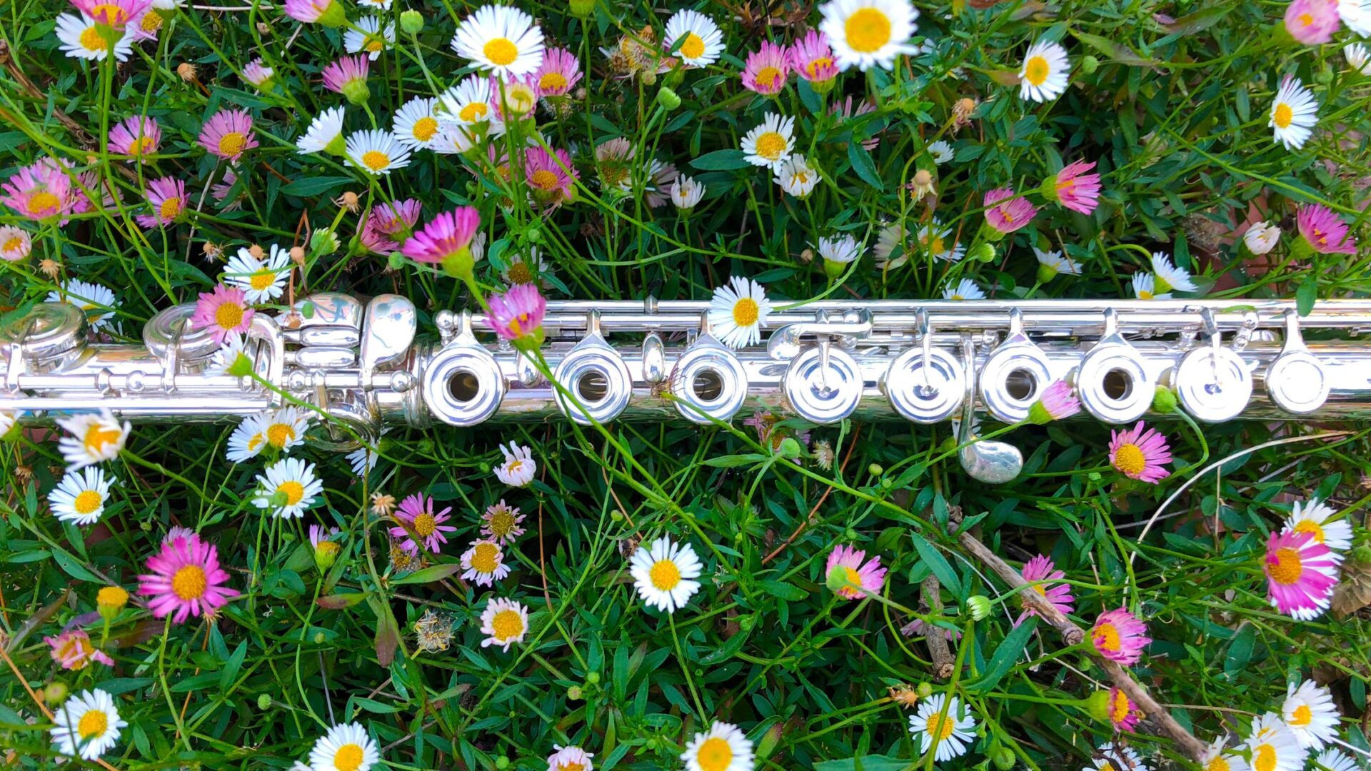 5 powerful reasons to learn the flute as an adult