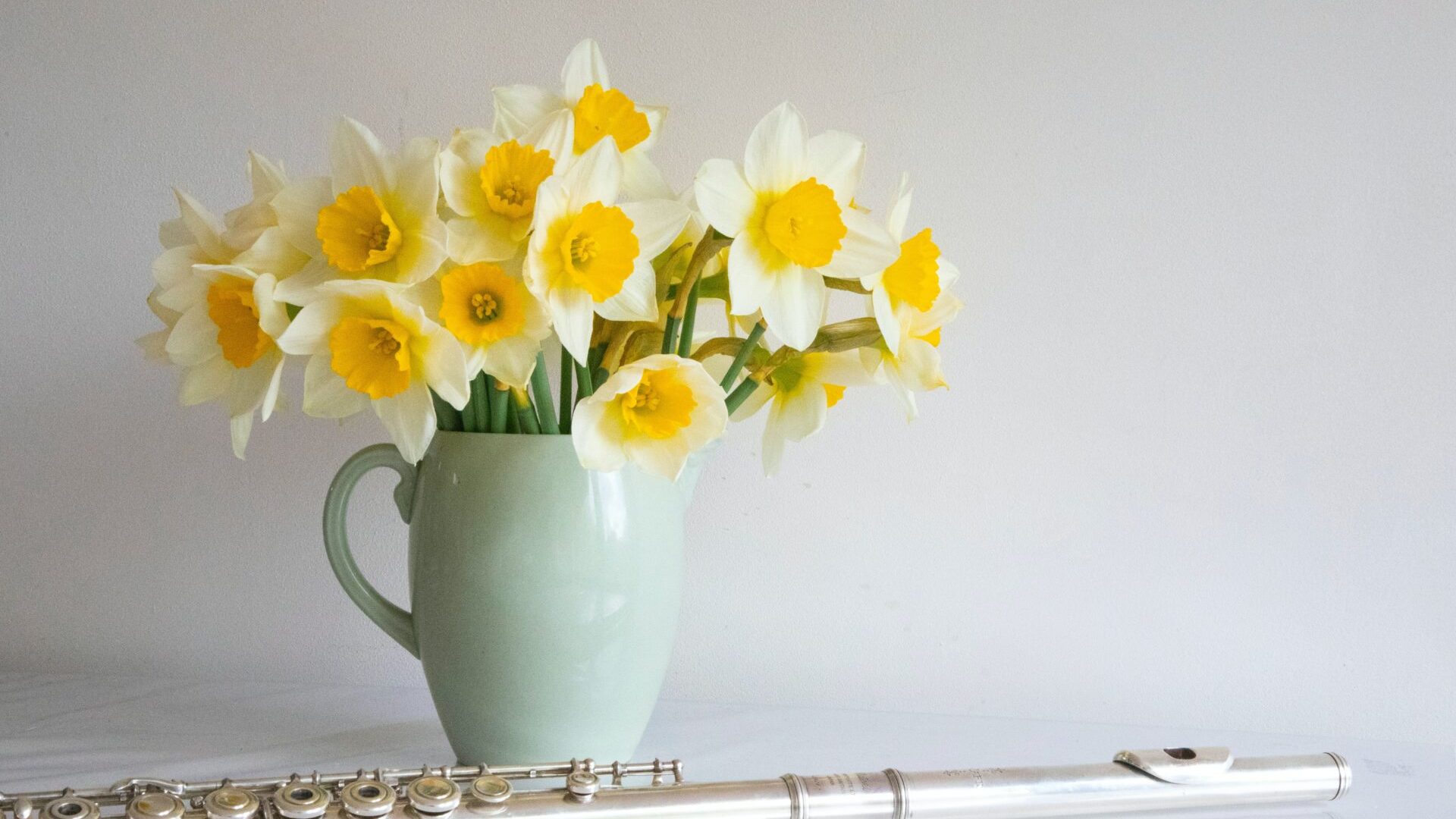 pexels-jeanpaul-wright-11866295