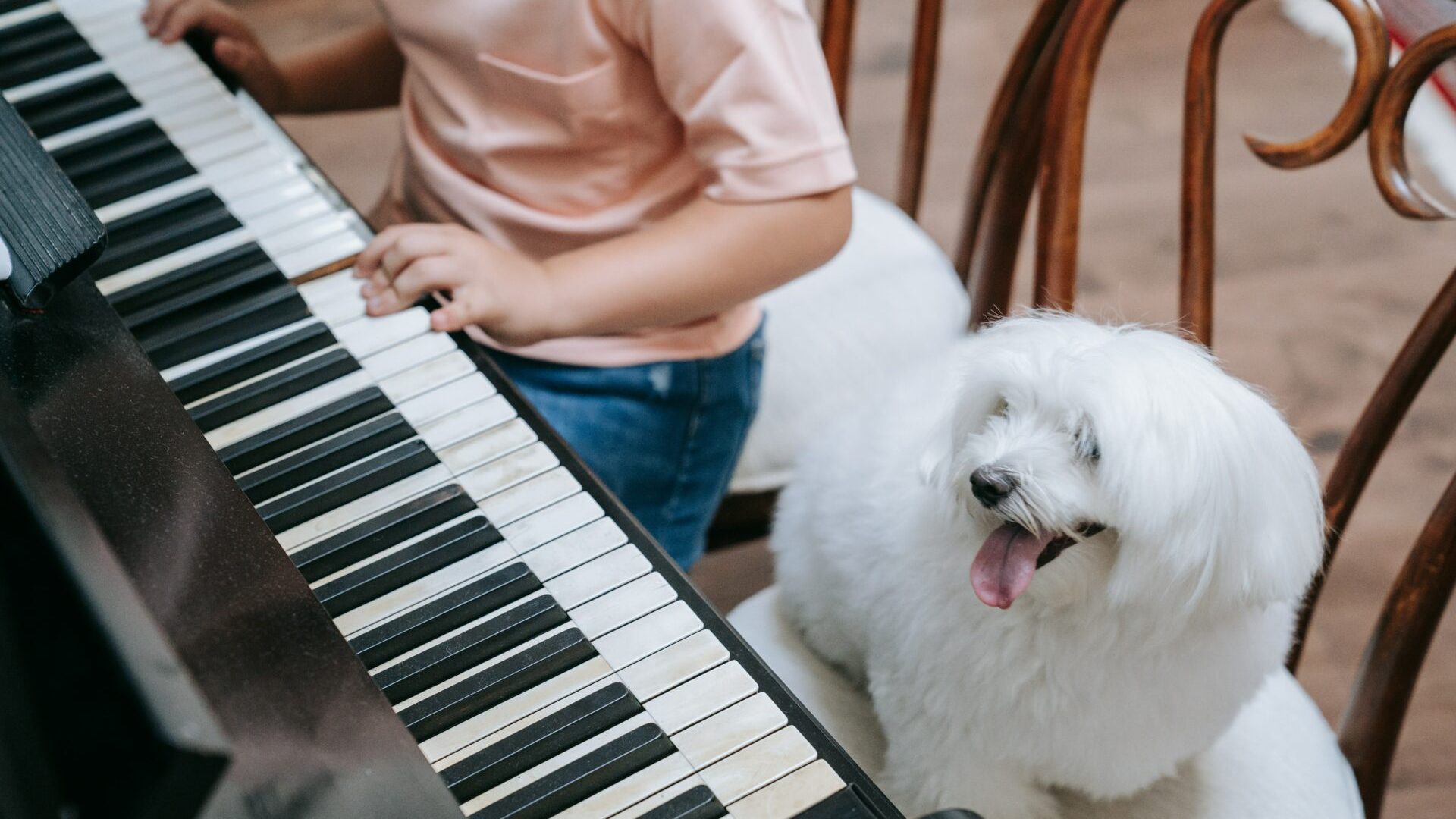 pexels-katya-wolf-9428225