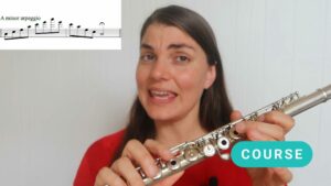 The Flute Scale Course (Part 1)